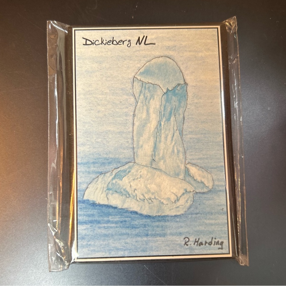 Dickieberg Newfoundland Iceberg Print by R. Harding Magnet 3.5”x2.5” New - Picture 2 of 5